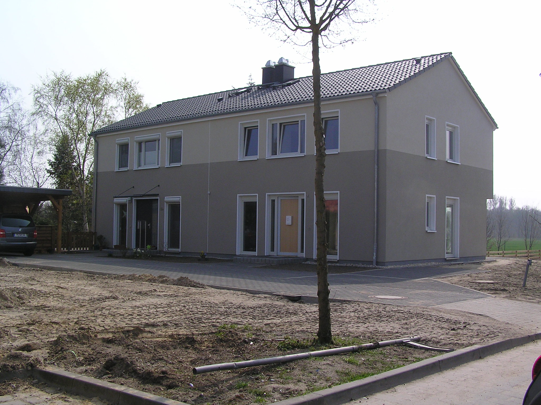 Potsdam Eiche